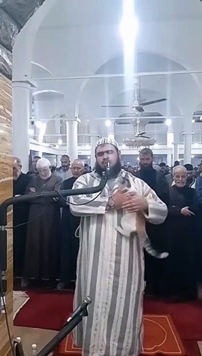 The cat enters the mosque, jumps on the imam's shoulders and kisses his face Cat Reacts to Imam