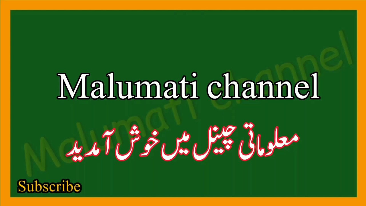 Islamic general knowledge sawal jawab in urdu | islami Urdu paheliyan | islami maloomat
