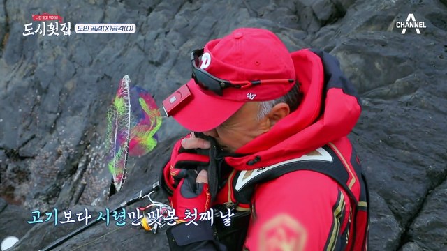 [#도시횟집] 5일째 감금된 가거도 올드보이 이덕화! 감성돔 잡고 탈출할까? #이덕화 #도시어부
