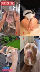 who is the best ? Pinned your Comment