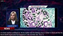 Marburg virus: CDC warns US public health officials of Ebola-like disease - 1breakingnews.com