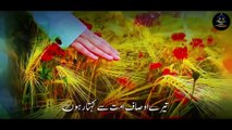 Heart Touching Qasidah Ayesha (R.A) - Story of Ayesha (R.A)