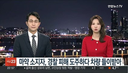 마약 소지자, 경찰 피해 도주하다 차량 들이받아