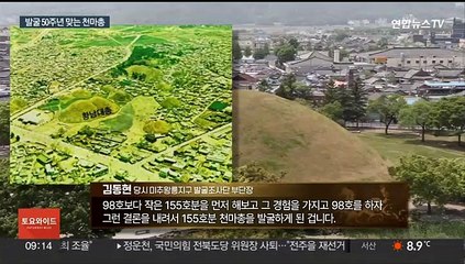 생생한 천마도 발굴의 기억…"시험 발굴이 역사적 발굴로"