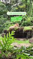 SP Guide To  Kid-Friendly Places In Singapore