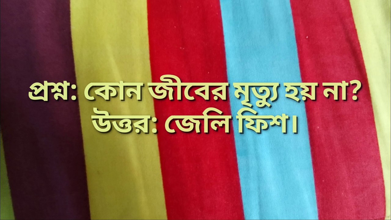 প্রাণীদের মধ্যে কোন প্রাণী, নারী-পুরুষ উভয়েই তাদের সন্তানকে দুধ পান করায় Learning Time BD