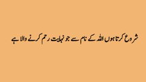Molana  Rumi quotes|Do batain aesi hain jab marad Aurat ko bol deta hain to|islami batain|#video 1
