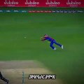 Best Catches in HBL PSL _ #shorts