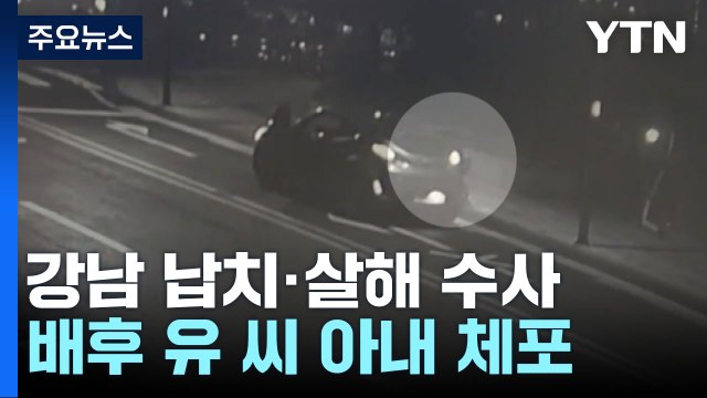 [단독] '강남 납치·살해 배후' 아내 체포... 지난해 9월 착수금 / YTN