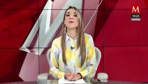 Guadalupe Taddei no tendrá redes sociales, aclara INE tras dos cuentas falsas en Twitter