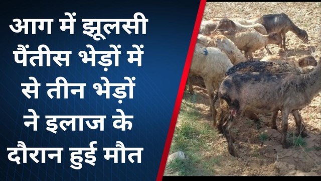 दौसा: आग लगने से कच्चे घरों में लगी भीषण आग, 35 भेड़ें झुलसी, सामान जलकर ख़ाक