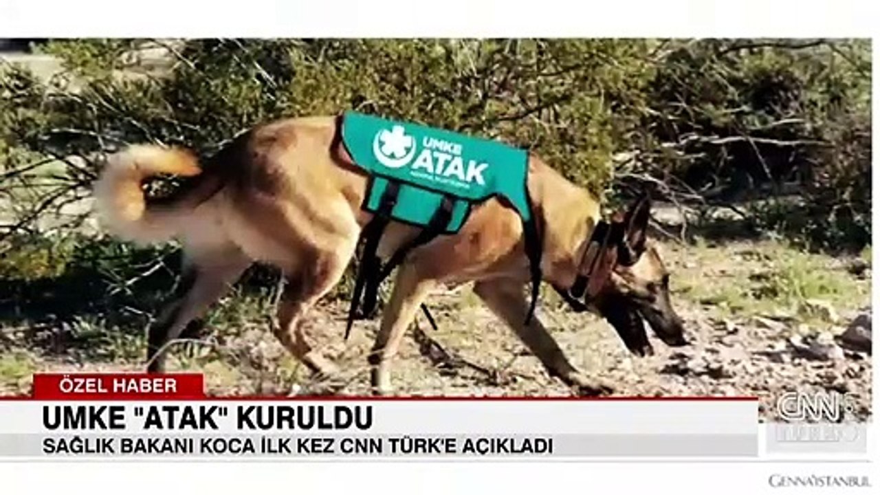Sağlık Bakanı Koca ilk kez CNN TÜRK'e açıkladı: UMKE "ATAK" Kuruldu