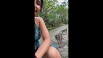 Funniest Monkeys Videos on TikTok  Part 2  _ It Will Make you Laugh Again