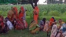 मैनपुरी: आम के बाग में लटका मिला युवक का शव, पुलिस मौके पर