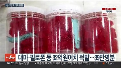 청소년 가담 마약범죄 급증…"과할 정도로 단속"