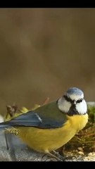  Don't Be Over Smart #funny