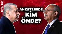 Seçim Anketlerinde Kim Önde? İşte Kılıçdaroğlu ve Erdoğan'ın Son Oy Oranları