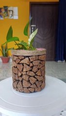 coconut shell flower planter