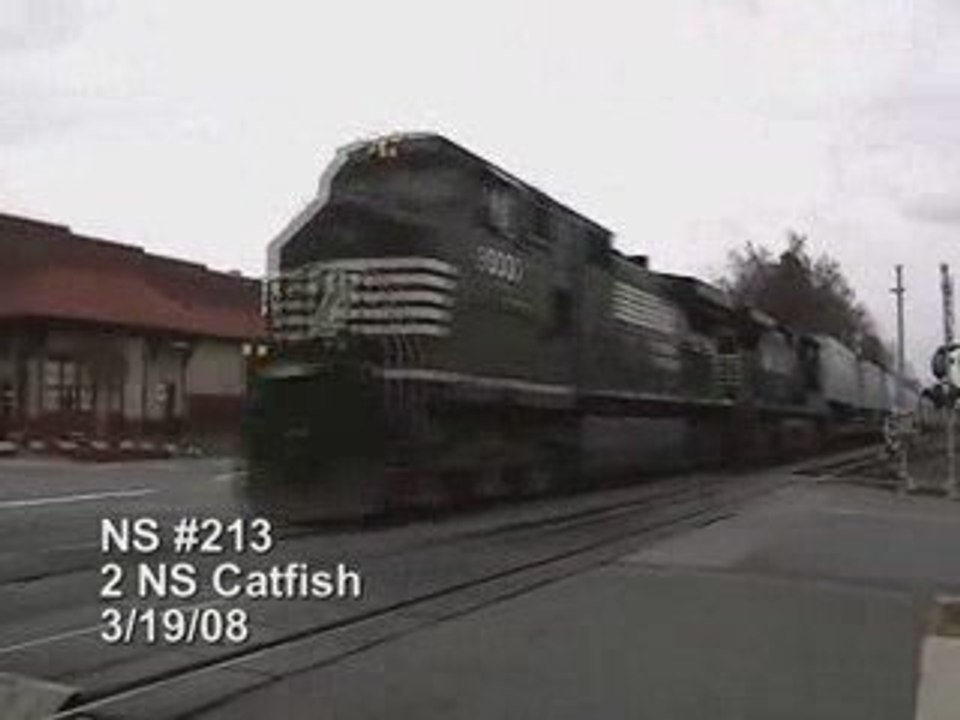 NS #213 with 2 Catfish