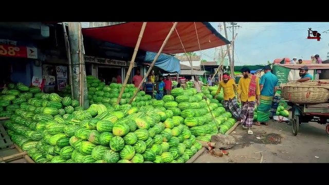 দেশী তরমুজ ব্যবসায়ী | Desi Rojadar | Bangla Funny Video | Entertainment bd
