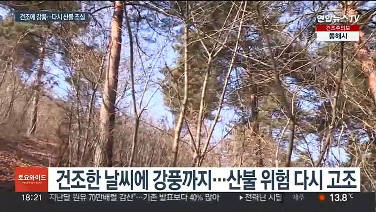 건조특보에 양간지풍…'강수효과' 끝, 산불 위험↑