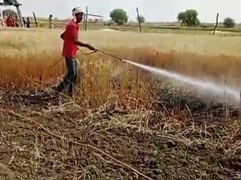 पांच बीघा गेहूं की फसल में लगी आग लगी
