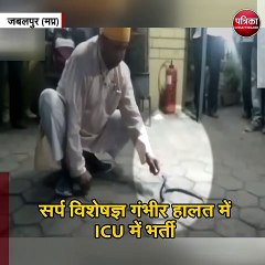 सर्प विशेषज्ञ को सांप ने डंसा