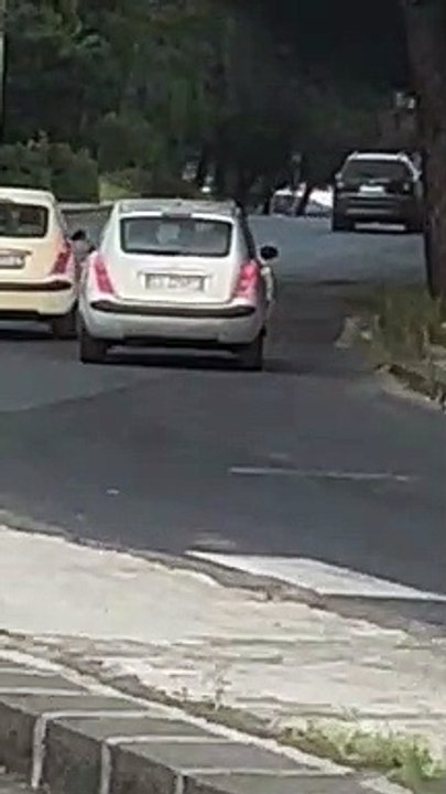 Person Gets Pushed Out of Moving Car