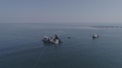 PROF. DR. AYDIN HAMSİ, TÜRK SOMONUNUN YEMİ OLDU