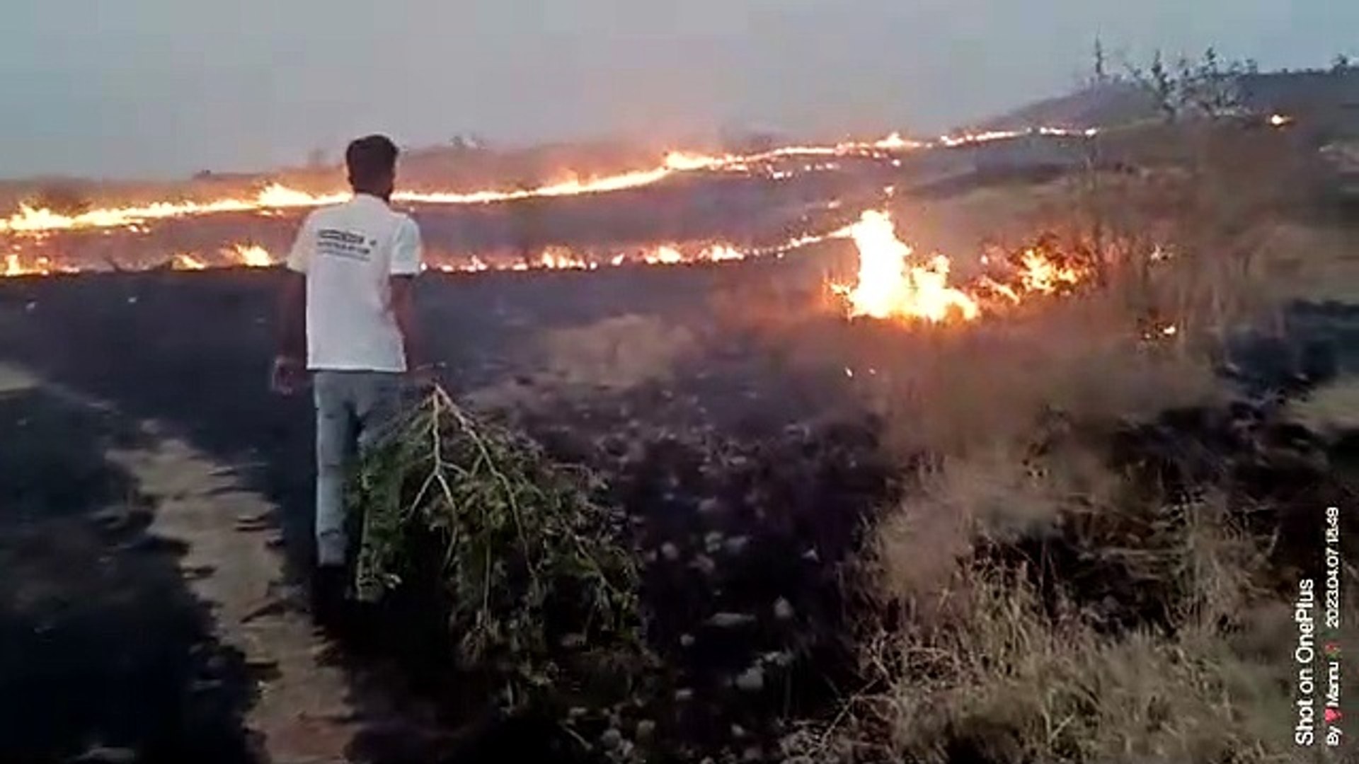 ⁣Video: Fierce forest fireVideo: Fierce forest fire