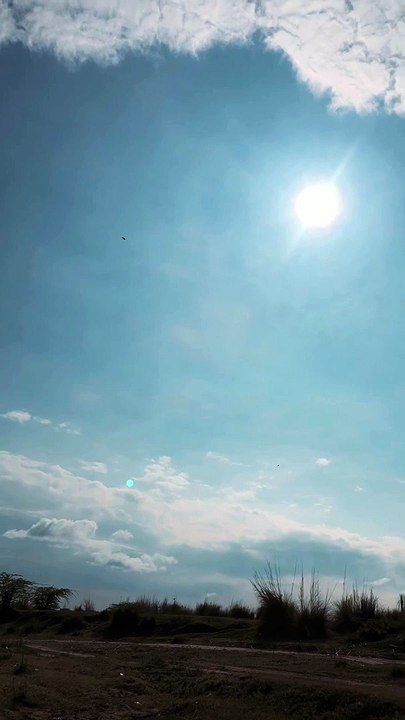 Sun attraction ”..