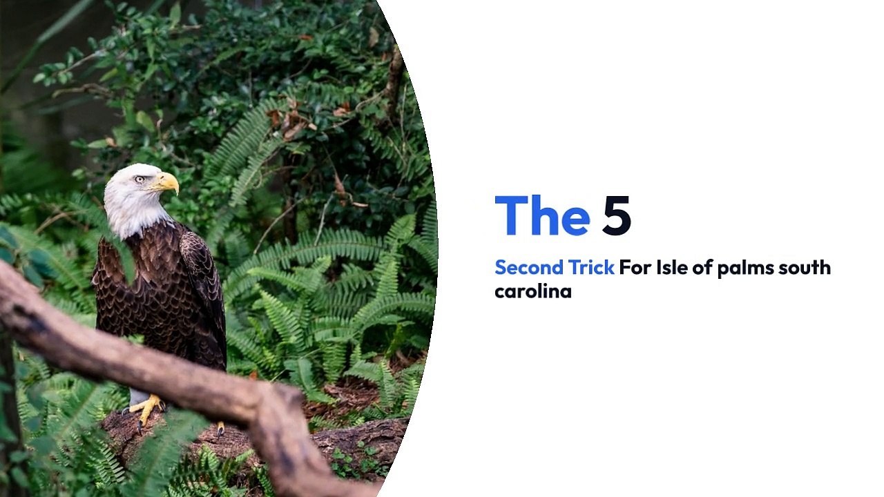 The 5-Second Trick For Isle of palms south carolina