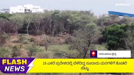 ಮೈಸೂರು:ಅಂತರರಾಷ್ಟ್ರೀಯ ಕ್ರಿಕೆಟ್ ಮೈದಾನ ನಿರ್ಮಾಣಕ್ಕೆ ನೂರಾರು ಮರಗಳ ಹನನ