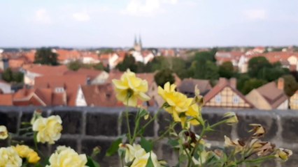 A Day Trip to Quedlinburg Germany | Watch Along With Chacha Faraghat | SaadVentures