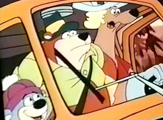 CB Bears CB Bears E008