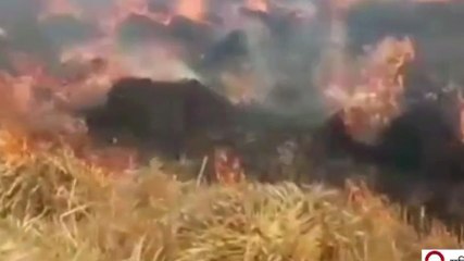 कटिहार: आग ने उजाड़ी किसानों की खुशियां, चिंगारी से 5 एकड़ फसल स्वाहा