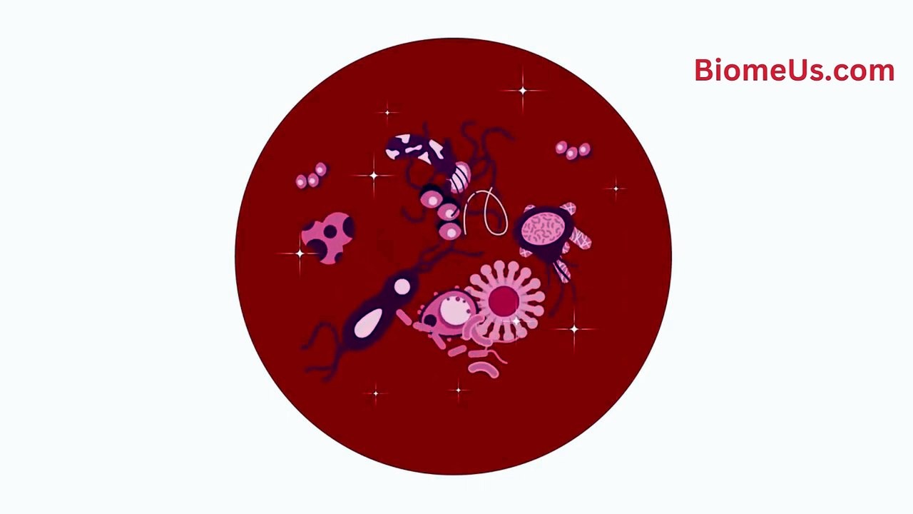 How to Build a Healthy Gut Microbiome #howtobuildahealthygutmicrobiome