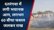 सिद्धार्थनगर: गेंहू की फसल में लगी भयानक आग, लगभग 60 बीघा फसल जलकर राख