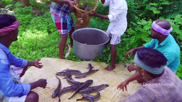 SNAKEHEAD MURREL FISH ||Viral Meen|| River Fish Fry Cooking In Village _ Village Fish Fry Recipe