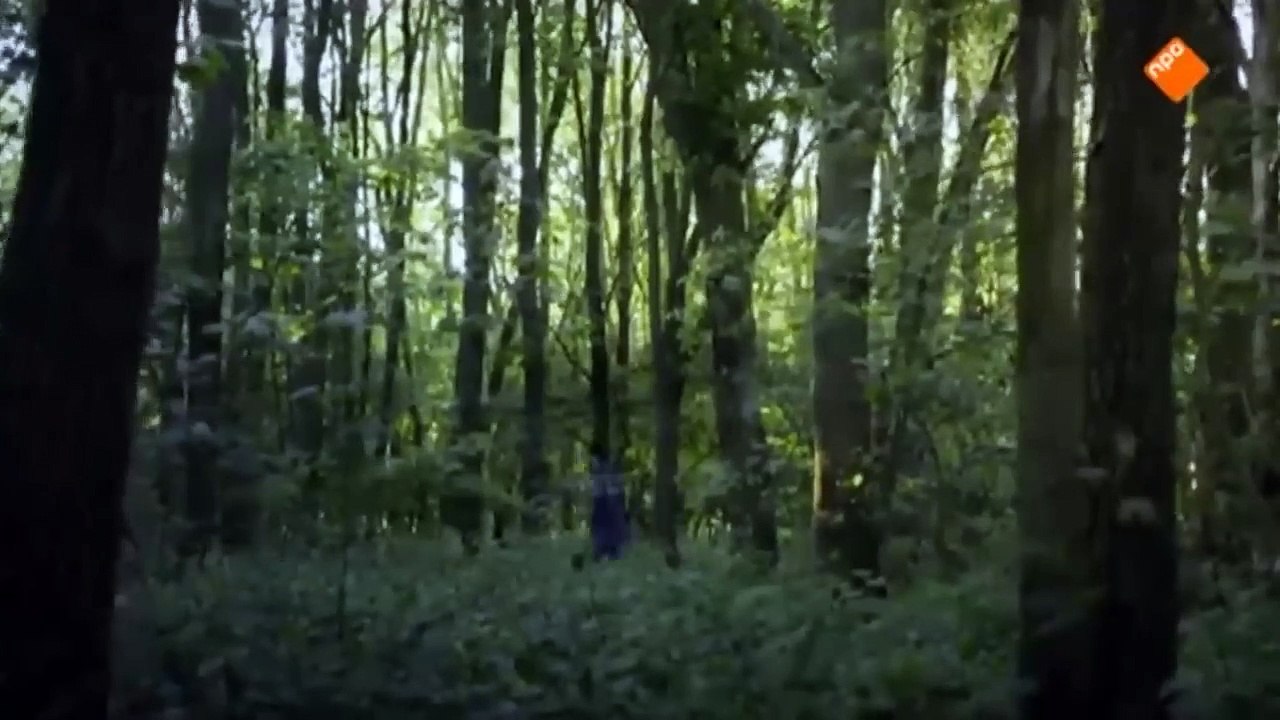 Boy Peeks His Teacher, Unveils A World Hidden Behind Classroom Wall
