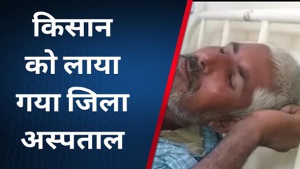 चूरू: खेत पर काम कर रहे किसान पर मधुमखियों ने किया हमला..अस्पताल में भर्ती