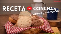 Aprende cómo hacer conchas caseras y esponjosas