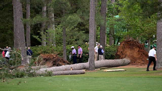 Golf : des arbres tombent sur des spectateurs lors du Masters d'Augusta