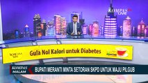 Bupati Meranti Tersangka Tiga Kasus Korupsi, KPK: Hasil Korupsi untuk Biaya Maju Pilgub Riau 2024!