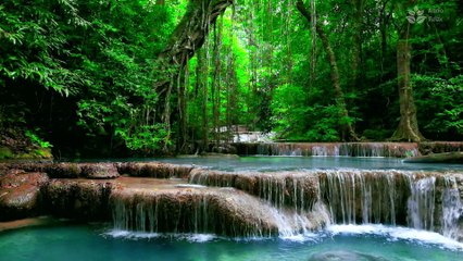 1-Hour Soothing Video of Beautiful Waterfall Scenery in Thailand for Sleep and Meditation