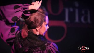 Sandra Sisneros: A Fiery Flamenco Performance - Captivating the Essence of Andalusian Passion