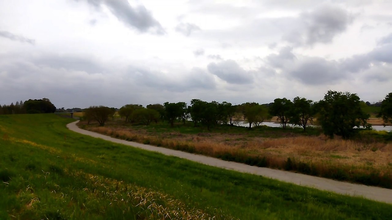 View from Bank