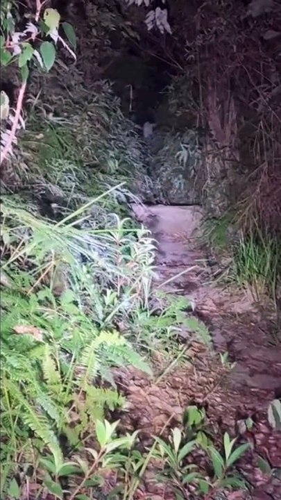 Paranormal activity ghost on camera part 124