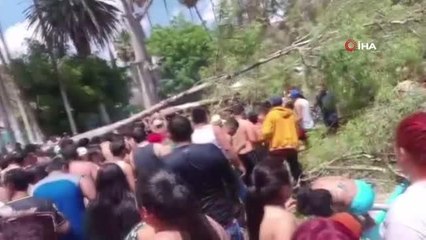 Meksika'da ağaç devrilmesi sonucu 1 bebek öldü, 12 kişi yaralandı