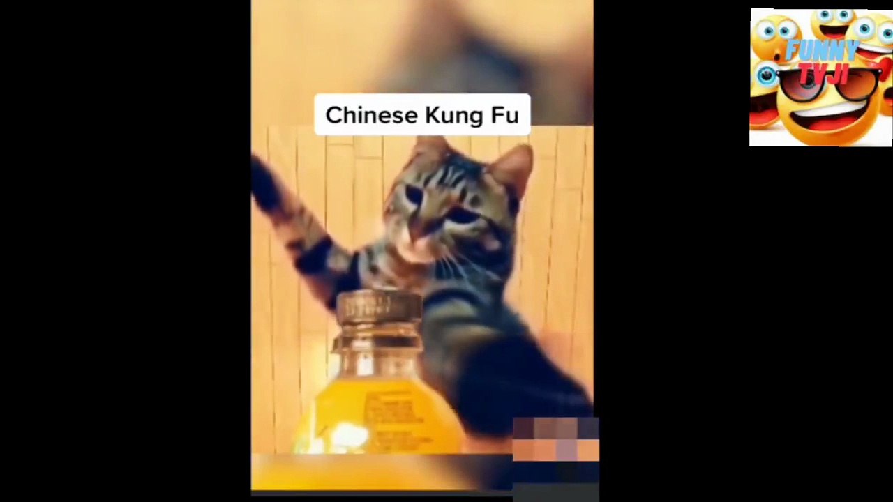 CHINESE KUNFU12